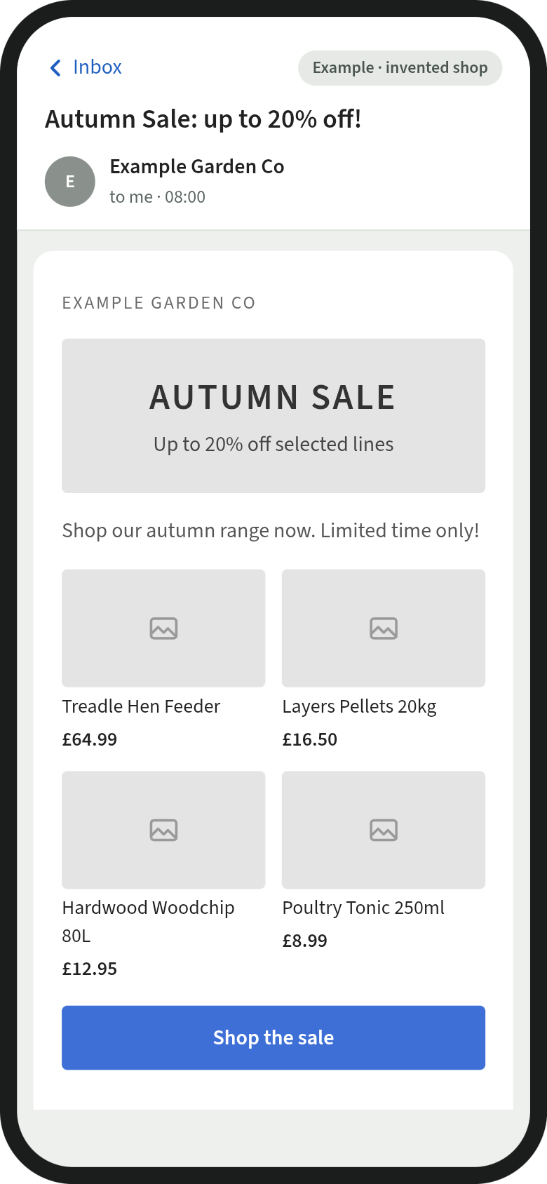 Mock-up of an invented shop's seasonal email before setup: a plain autumn sale message headed Autumn sale, up to 20% off selected lines, with a grid of four products and a blue Shop the sale button.